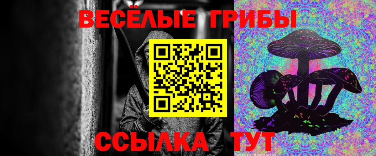 Альметьевск  Галлюциногенные грибы GOLDEN TEACHER  Вход с VPN 