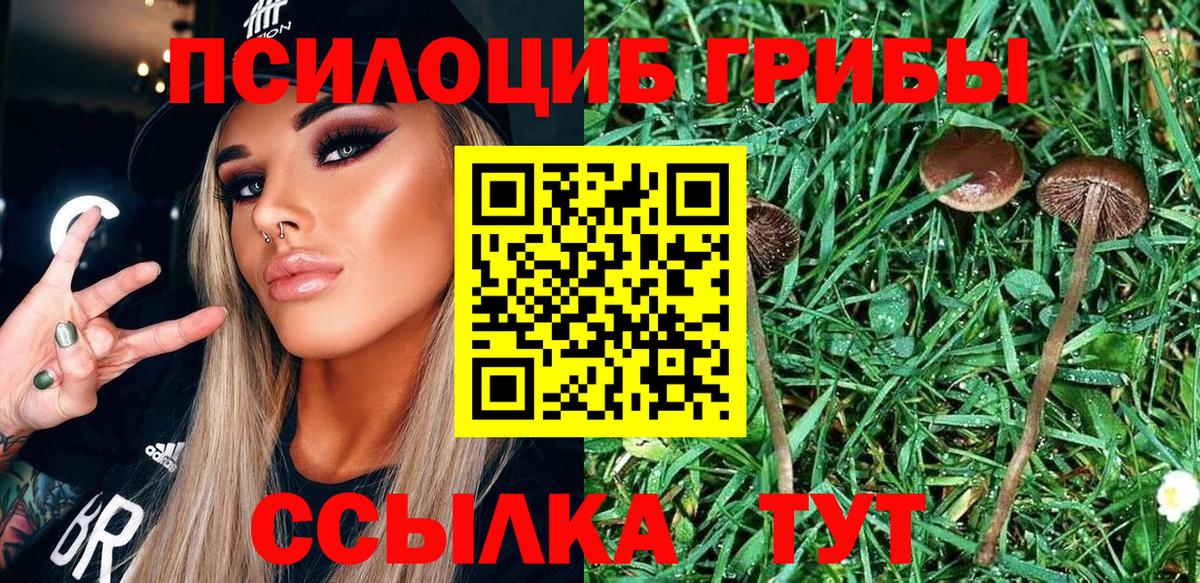 Псилоцибиновые грибы ЛСД Альметьевск